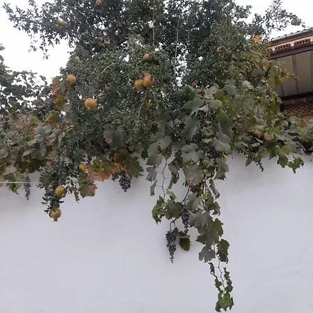 El Molino De Aceite * Baeza